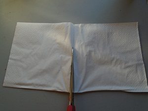 récupérer les graines découpe de la serviette papier