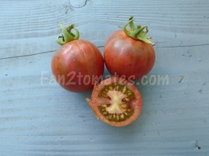 BV pour saison des tomates