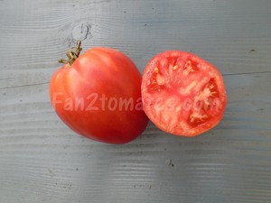 CB pour saison des tomates