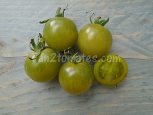 tomate green doctors